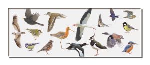 Koelkastmagneet: Vogels, Elwin van der Kolk, Vogelbescherming Nederland