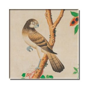 Koelkastmagneet: Vogeltjeskamer, Landhuis Oud Amelisweerd
