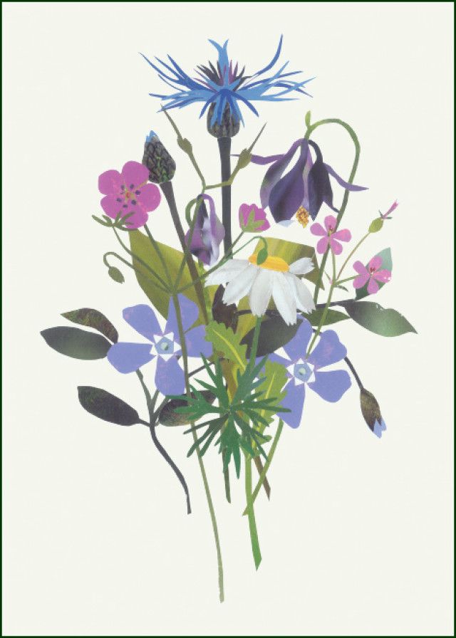 Field Bouquets, Ine Heesterman