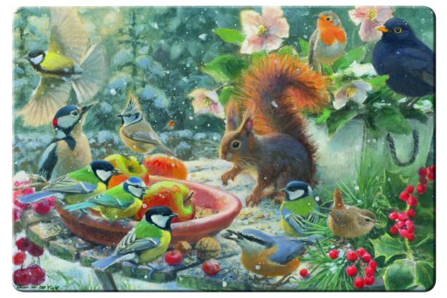 Placemat: A Robin’s Winter, Elwin van der Kolk, Vogelbescherming Nederland