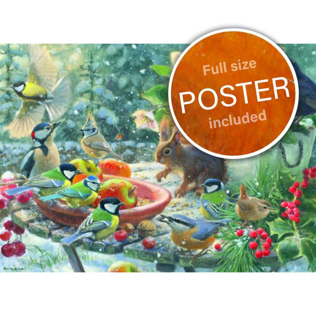 Puzzel (1.000 stukjes): A Robin’s Winter, Elwin van der Kolk, Vogelbescherming Nederland