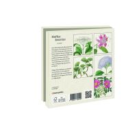 Kaartenmapje met env, vierkant: Flora Japonica, Hortus Leiden