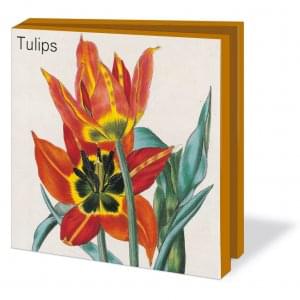 Kaartenmapje met env, vierkant: Tulips, Museum de Zwarte Tulp