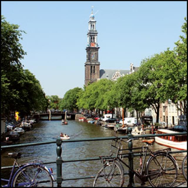 Prinsengracht met de Westerkerktoren, Stoorvogel