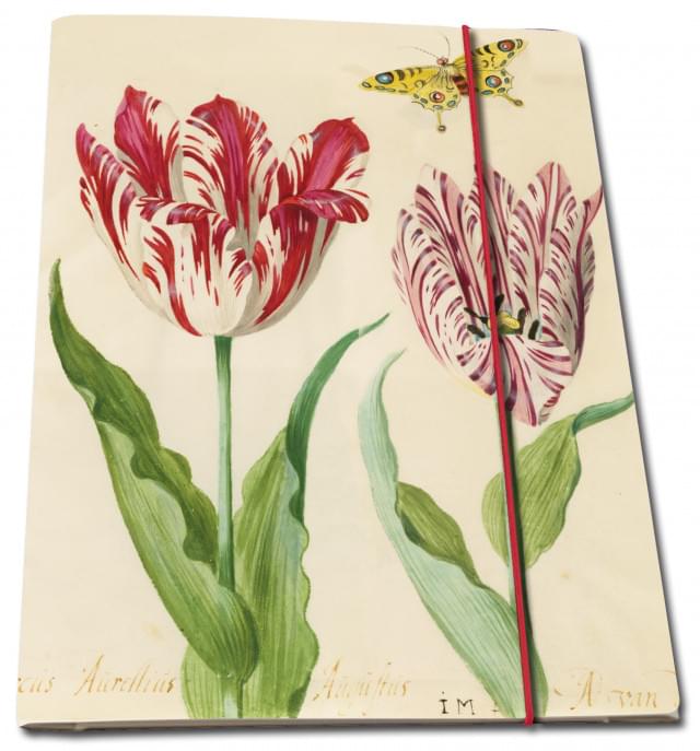 Portfoliomap A4: Tulpen/Tulips, Jacob Marrel, Collection Rijksmuseum Amsterdam