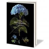 Kaartenmapje met env, groot: Flora Photographica, Günter Beck, Hortus Botanicus