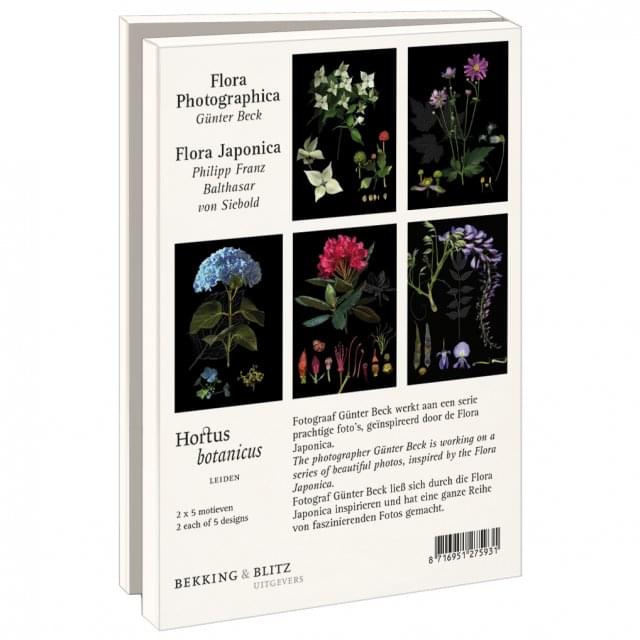 Kaartenmapje met env, groot: Flora Photographica, Günter Beck, Hortus Botanicus