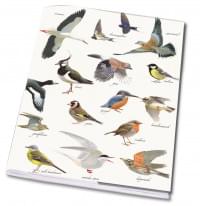 Schrift A5: Collage vogels, Elwin van der Kolk, Vogelbescherming Nederland