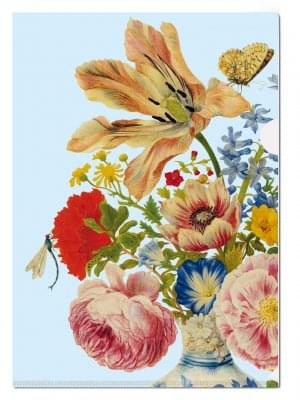 L-mapje A4 formaat: Tulip, roses, Maria Sibylla Merian, Kupferstichkabinett, SMB