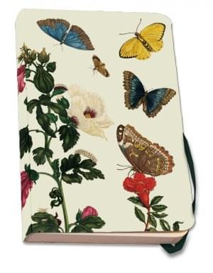 Notitieboek A5, zachte kaft: Insecten, Maria Sibylla Merian, Teylers