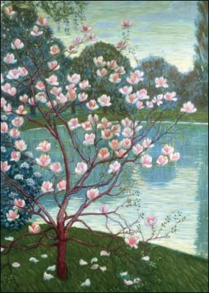 Magnolia, Wilhelm List