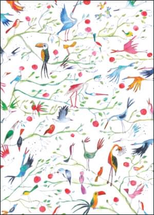 Birds of Paradise, Miriam Bouwens