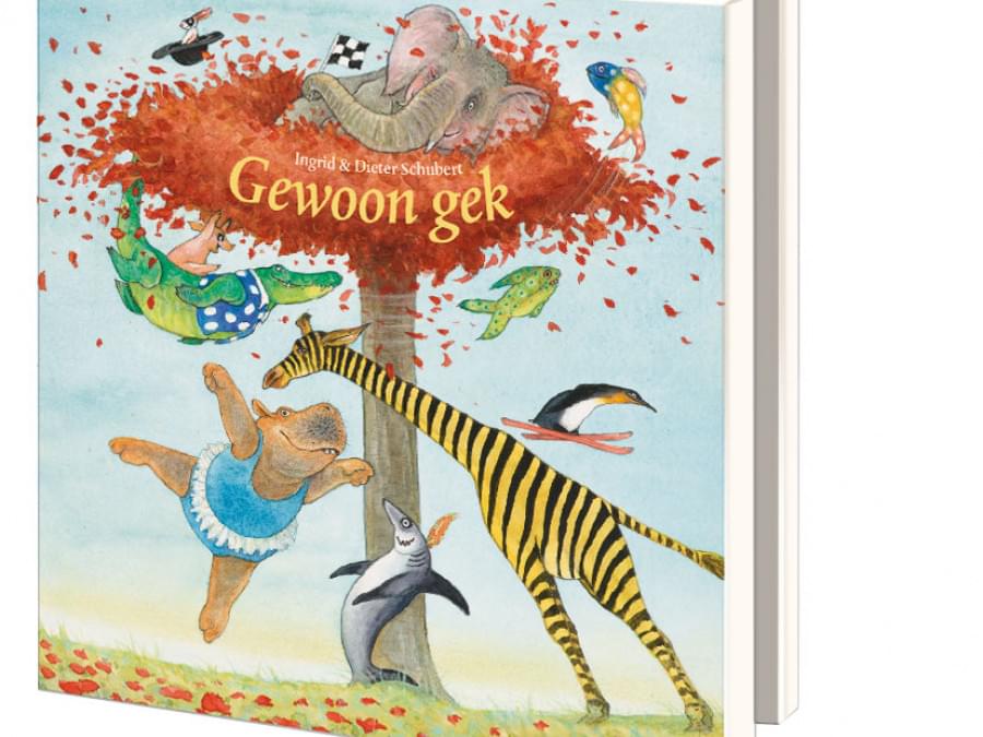 Kaartenmapje met env, vierkant: Gewoon gek, Ingrid & Dieter Schubert