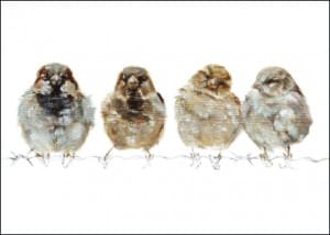 Happy Family, Angelique Weijers
