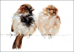 Verliefd!, Angelique Weijers