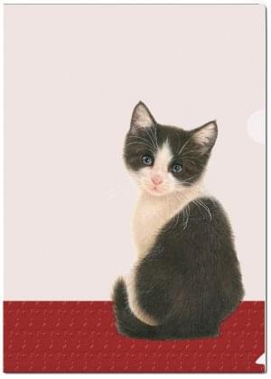 L-mapje A4 formaat: Franciens Katten, Francien van Westering