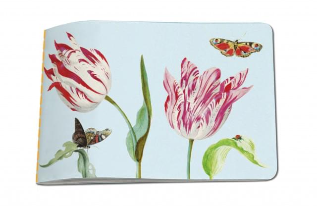 Schetsboek: Tulpen / Tulips, Jacob Marrel, Collection Rijksmuseum Amsterdam