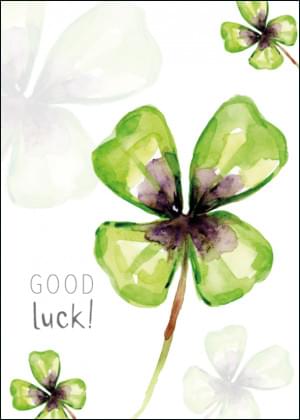 Good luck, Michelle Dujardin