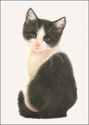Franciens Katten, Francien van Westering