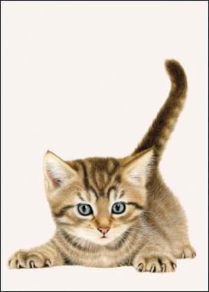 Franciens Katten, Francien van Westering