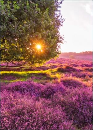 Nationaal Park Veluwezoom, Rob Sprenger, Natuurmonumenten