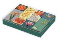 Set koelkastmagneetjes: Herbarium, Naturalis Biodiversity Center