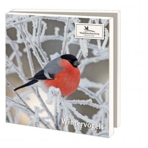 Kaartenmapje met env, vierkant: Wintervogels, Vogelbescherming Nederland