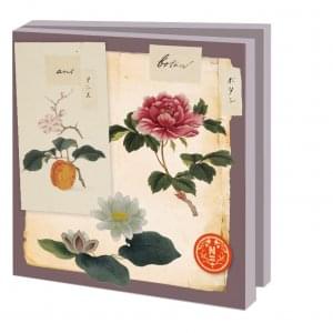 Kaartenmapje met env, vierkant: Bloemen, Philipp Franz von Siebold, Naturalis Biodiversity Center