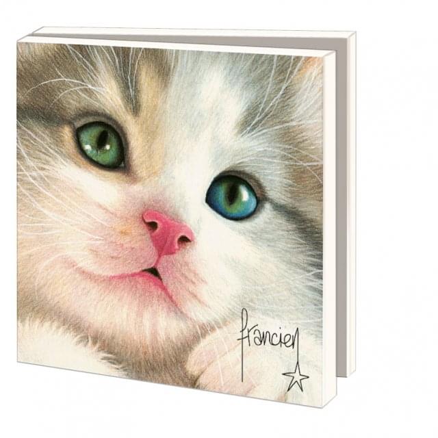 Kaartenmapje met env, vierkant: Close up Franciens katten, Francien van Westering