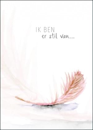 Ik ben er stil van ... (feather/veer), Michelle Dujardin