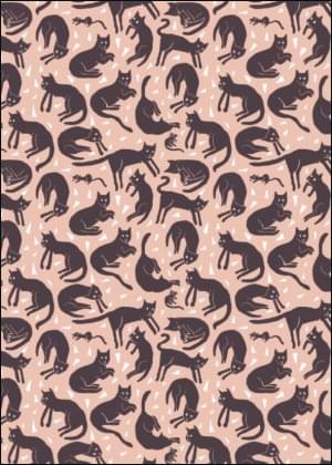 Katten en muizen, Floor Rieder