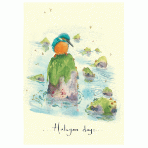 Halcyon Days Card by Fran Evans