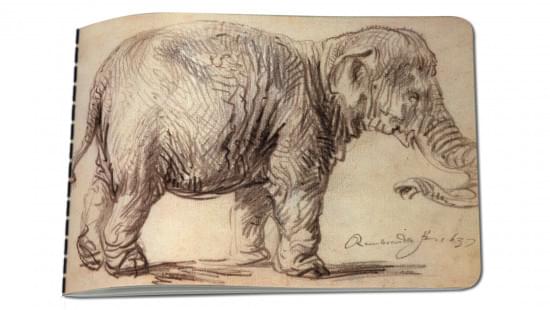 Schetsboek A5: An Elephant, Rembrandt van Rijn, Museum het Rembrandthuis