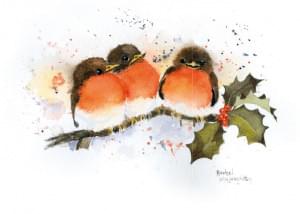 Vogeltjes, Rachel Mc Naughton