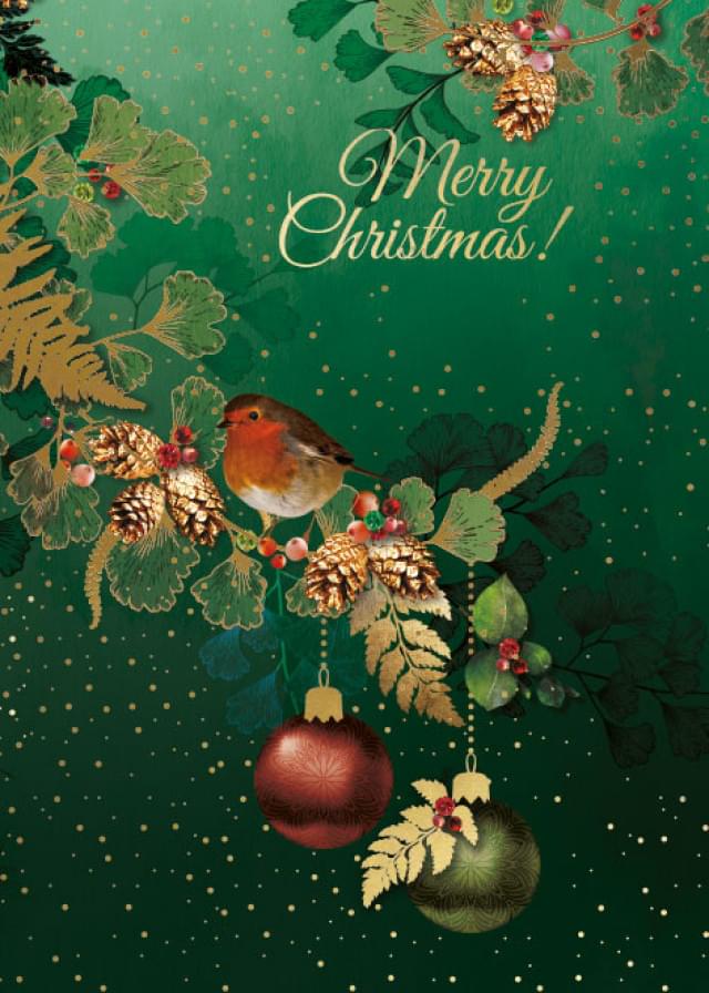Merry Christmas, roodborstje, Lara Skinner