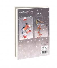Kaartenmapje met env, groot: Winterbirds, Elwin van der Kolk