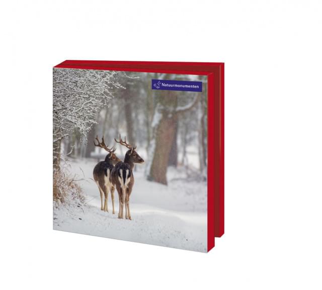 Kaartenmapje met env, vierkant: Winter, Natuurmonumenten