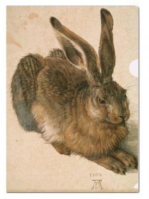 L-mapje A4 formaat: Feldhase, Albrecht Dürer, The Albertina Museum