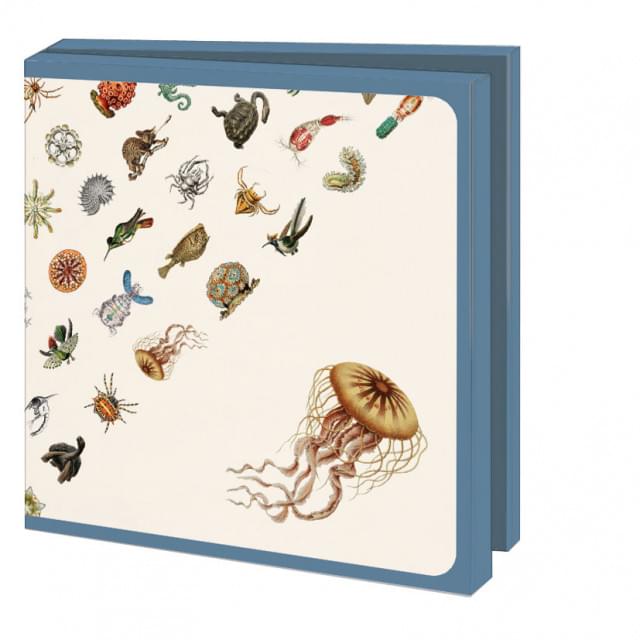 Kaartenmapje met env, vierkant: Art Forms in Nature, Ernst Haeckel, Teylers Museum