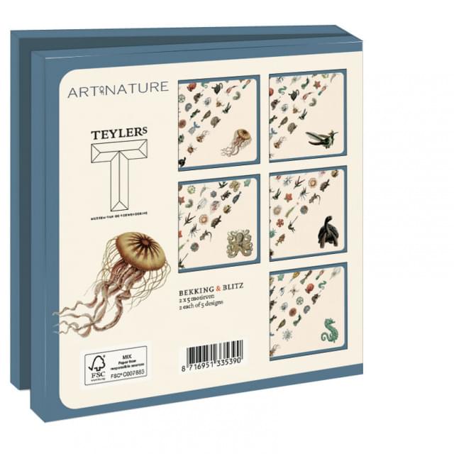 Kaartenmapje met env, vierkant: Art Forms in Nature, Ernst Haeckel, Teylers Museum