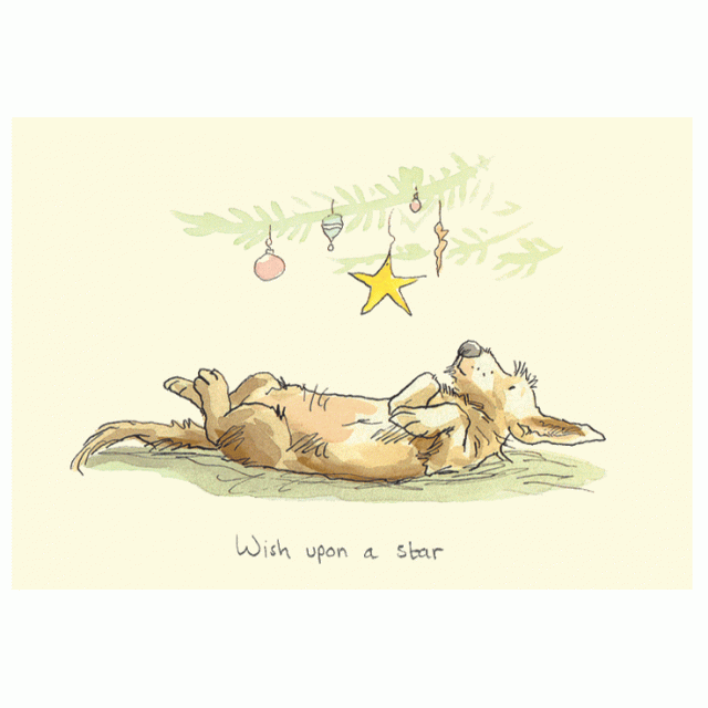 Wish Upon A Star Card by Anita Jeram