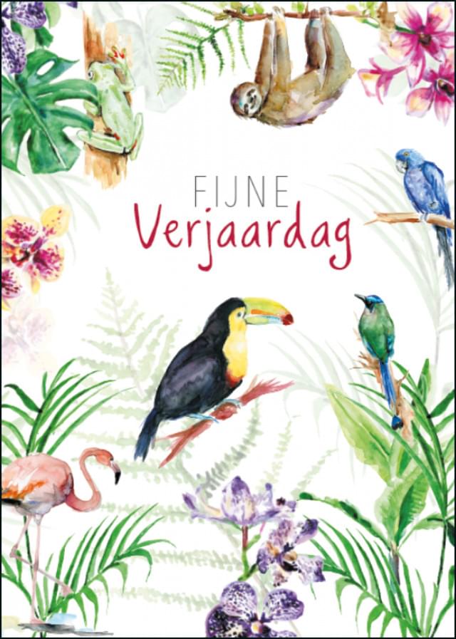 Fijne verjaardag, Michelle Dujardin