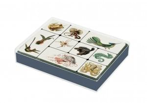 Set koelkastmagneetjes: Art Forms of Nature, Ernst Haeckel, Teylers Museum