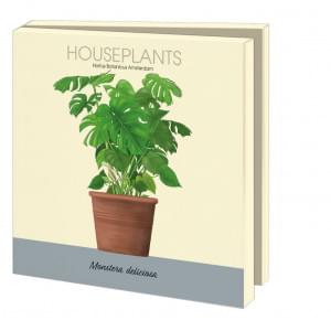 Kaartenmapje met env, vierkant: Houseplants, Kelly van Koppenhagen, Hortus Botanicus Amsterdam