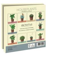 Kaartenmapje met env, vierkant: Houseplants, Kelly van Koppenhagen, Hortus Botanicus Amsterdam