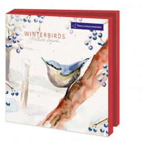 Kaartenmapje met env, vierkant: Winterbirds, Michelle Dujardin, Natuurmonumenten