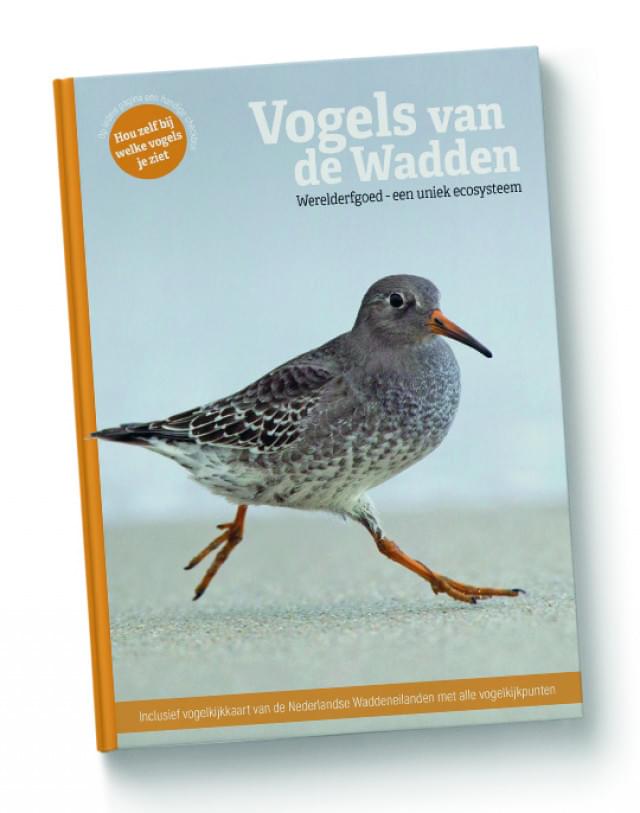 Vogels van de Wadden, Werelderfgoed - een uniek ecosysteem