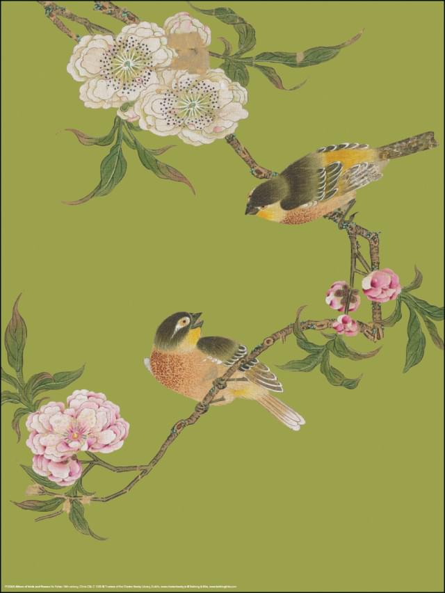 Poster: Album of birds and flowers (groen), Hu Feitao, Chester Beatty