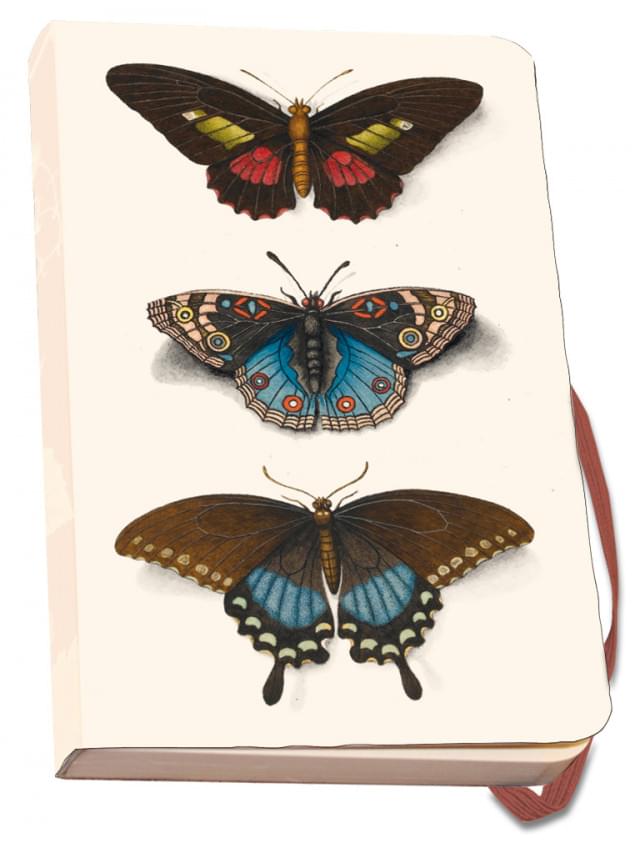 Notitieboek A6, zachte kaft: Butterflies, Joseph Jakob von Plenck, The Fitzwilliam Museum