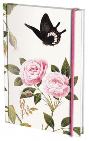 Notitieboek A5, harde kaft: Roses in bud and bloom, The Fitzwilliam Museum
